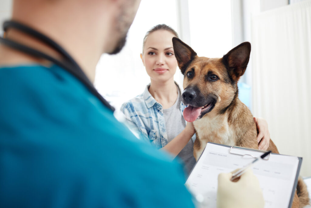 Veterinarian, dog, and dog owner discussing the importance of liability insurance for veterinarians