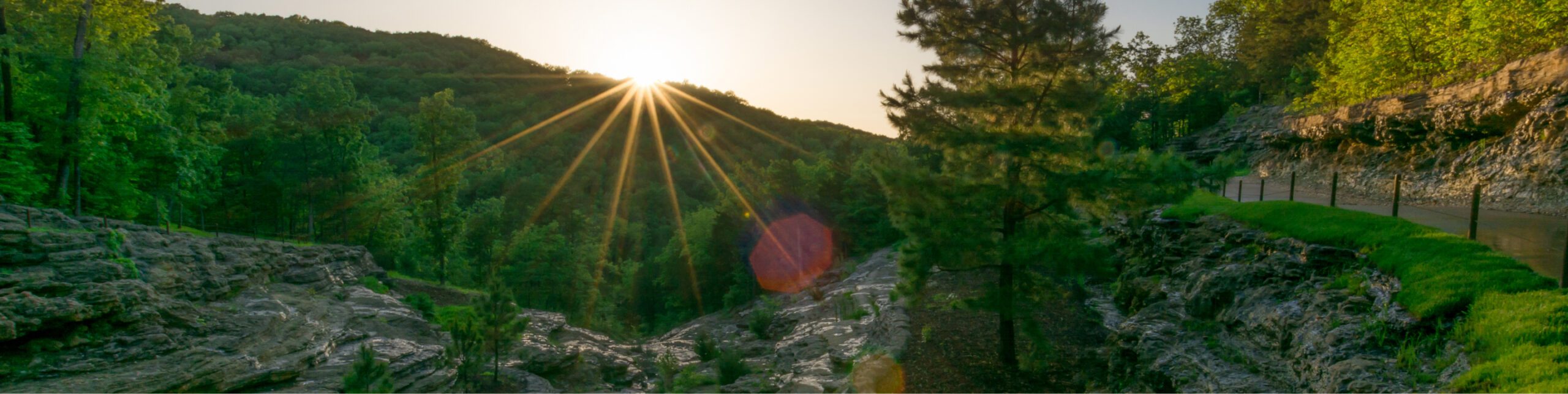 A sunburst breaking through tall trees at golden hour in a lush green forest, with rocky cliffs visible on the right and soft light illuminating the dense woodland canopy below