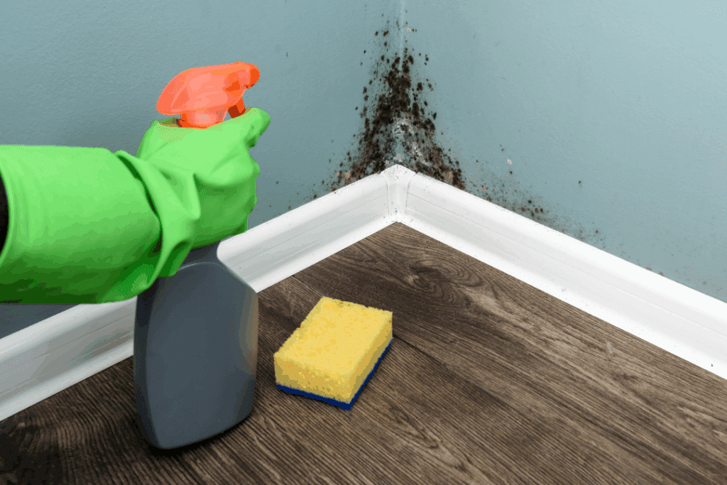 does home insurance cover mold damage